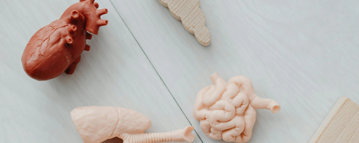 Was ist eine Thrombotische Mikroangiopathie?